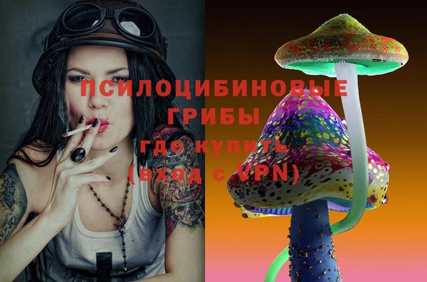 мескалин Покачи