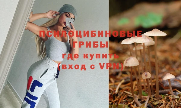 дживик Дмитров