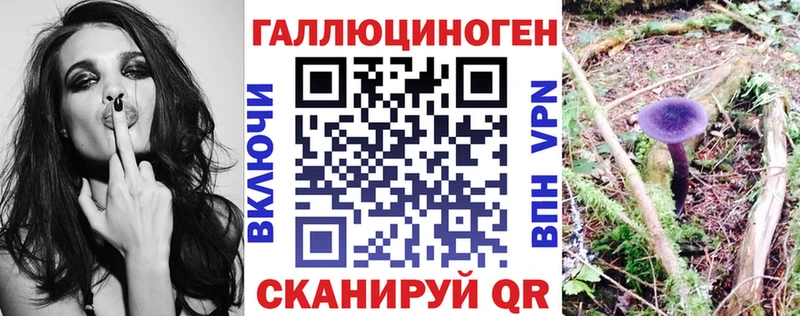 Галлюциногенные грибы Psilocybine cubensis  Байкальск 